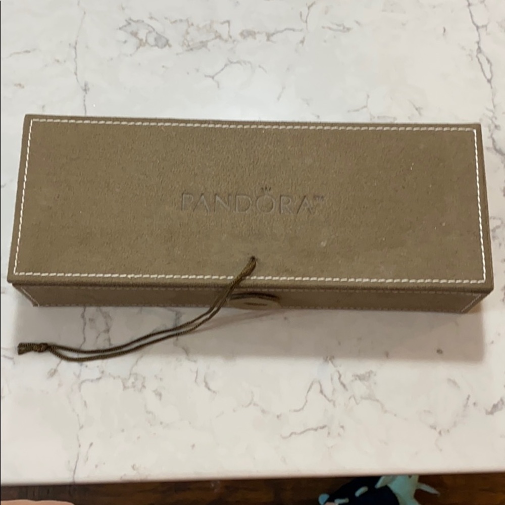 Pandora charm case